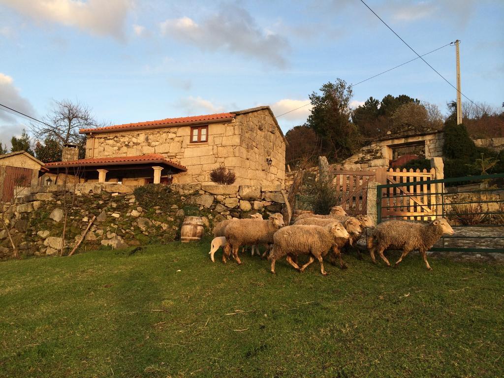 Refugio Dos Cregos Konuk evi Riba de Mouro Dış mekan fotoğraf